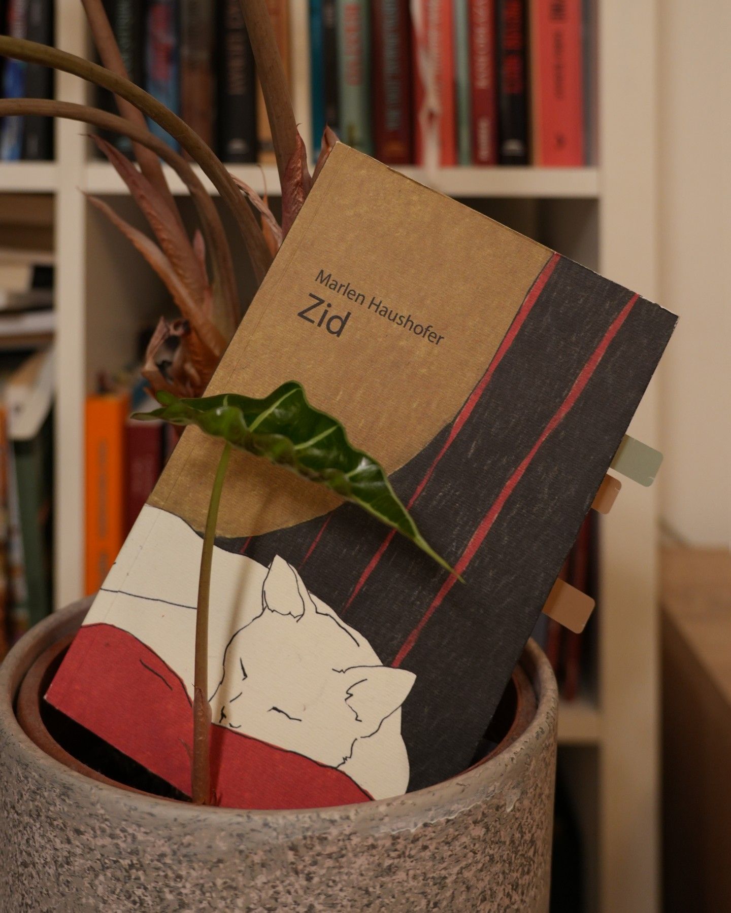 Knjiga Zid, Marlen Haushofer